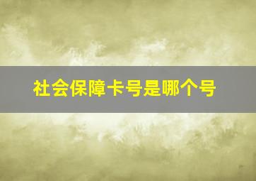 社会保障卡号是哪个号