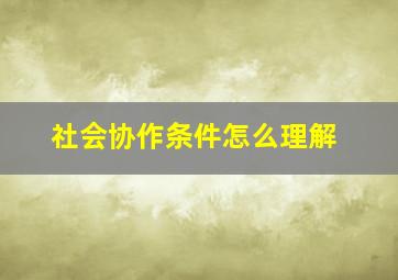 社会协作条件怎么理解