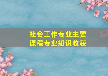 社会工作专业主要课程专业知识收获