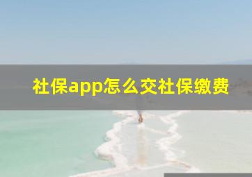 社保app怎么交社保缴费