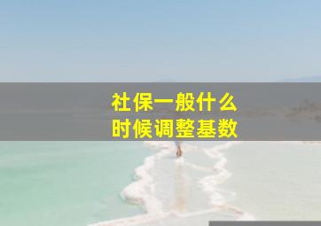 社保一般什么时候调整基数