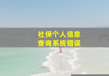 社保个人信息查询系统错误