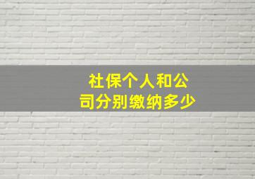 社保个人和公司分别缴纳多少