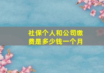 社保个人和公司缴费是多少钱一个月