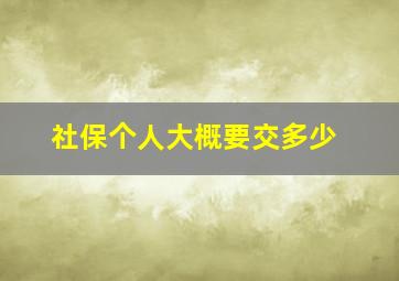 社保个人大概要交多少