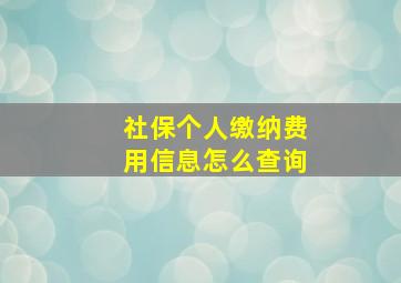 社保个人缴纳费用信息怎么查询