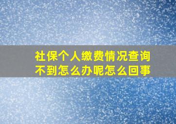 社保个人缴费情况查询不到怎么办呢怎么回事