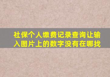 社保个人缴费记录查询让输入图片上的数字没有在哪找