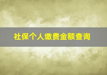 社保个人缴费金额查询