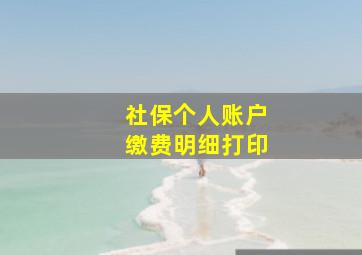 社保个人账户缴费明细打印