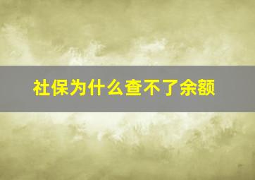 社保为什么查不了余额