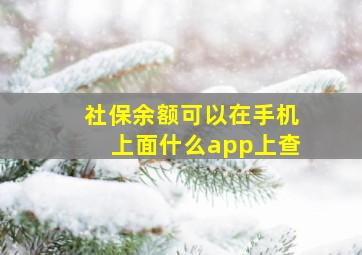 社保余额可以在手机上面什么app上查