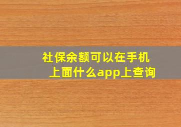 社保余额可以在手机上面什么app上查询