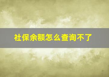 社保余额怎么查询不了