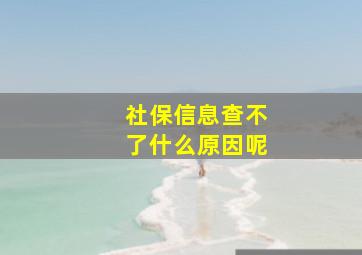 社保信息查不了什么原因呢