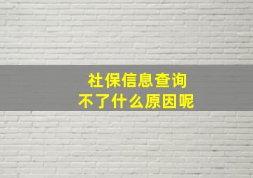 社保信息查询不了什么原因呢