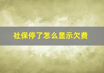 社保停了怎么显示欠费