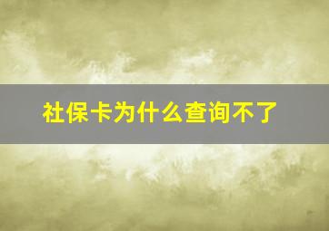 社保卡为什么查询不了