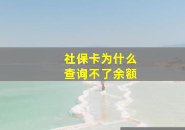 社保卡为什么查询不了余额