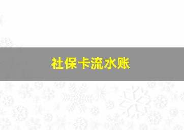 社保卡流水账