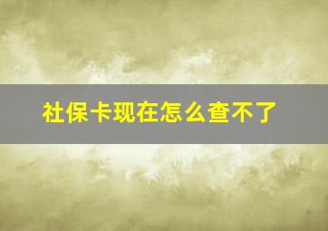 社保卡现在怎么查不了