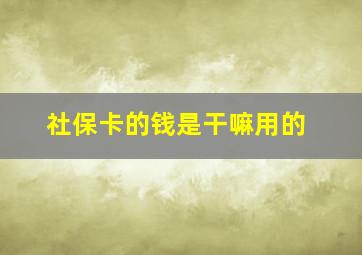 社保卡的钱是干嘛用的