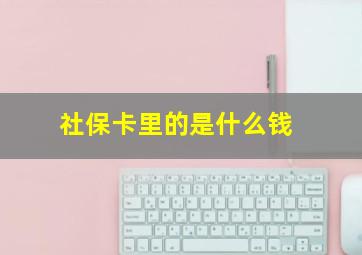 社保卡里的是什么钱