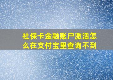 社保卡金融账户激活怎么在支付宝里查询不到