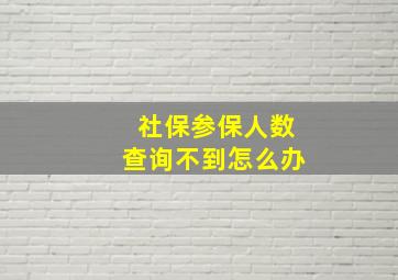 社保参保人数查询不到怎么办