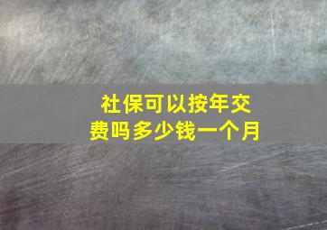 社保可以按年交费吗多少钱一个月