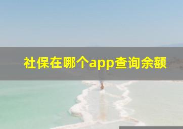 社保在哪个app查询余额