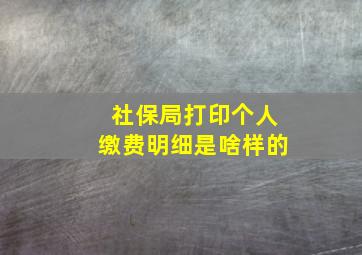 社保局打印个人缴费明细是啥样的