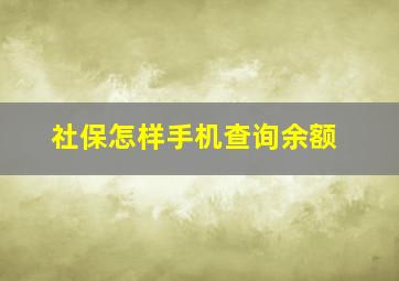 社保怎样手机查询余额