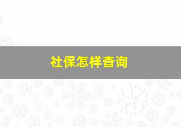 社保怎样杳询