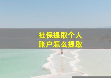 社保提取个人账户怎么提取