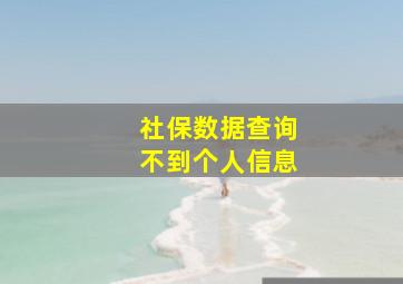 社保数据查询不到个人信息