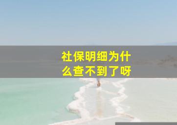 社保明细为什么查不到了呀