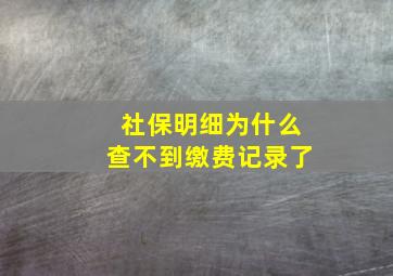 社保明细为什么查不到缴费记录了