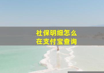 社保明细怎么在支付宝查询