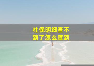 社保明细查不到了怎么查到