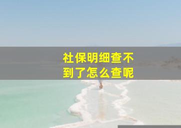 社保明细查不到了怎么查呢