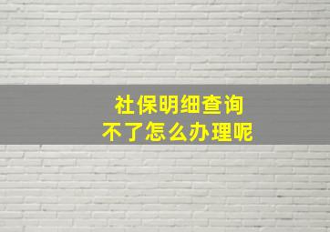 社保明细查询不了怎么办理呢