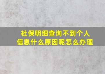 社保明细查询不到个人信息什么原因呢怎么办理