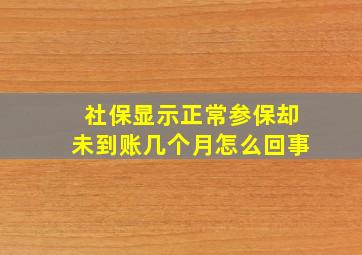 社保显示正常参保却未到账几个月怎么回事