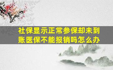 社保显示正常参保却未到账医保不能报销吗怎么办