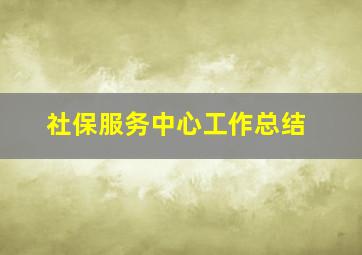 社保服务中心工作总结