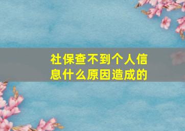 社保查不到个人信息什么原因造成的