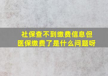 社保查不到缴费信息但医保缴费了是什么问题呀