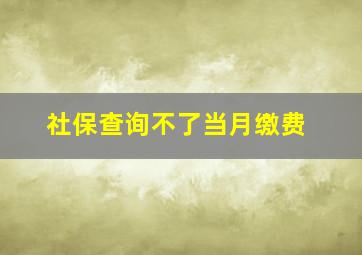 社保查询不了当月缴费