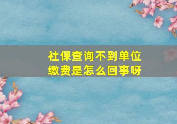 社保查询不到单位缴费是怎么回事呀